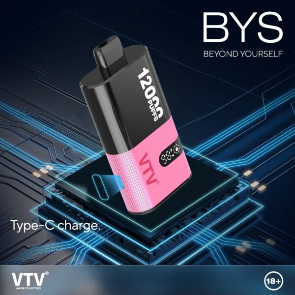 VTV維特威 BYS主機